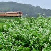 いすみ鉄道