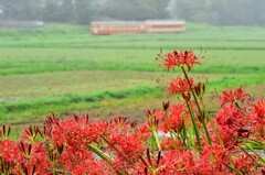 いすみ鉄道
