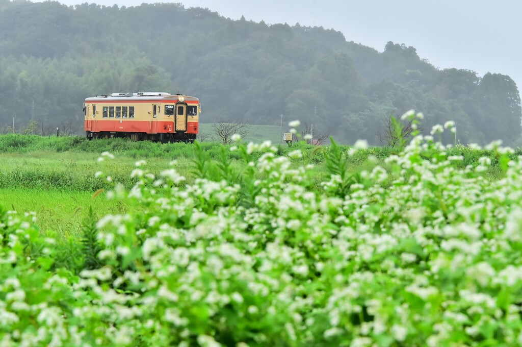いすみ鉄道