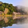 桜風景