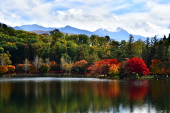 蓼科湖紅葉