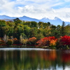 蓼科湖紅葉
