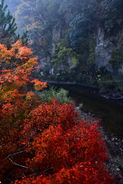 渓谷の紅葉