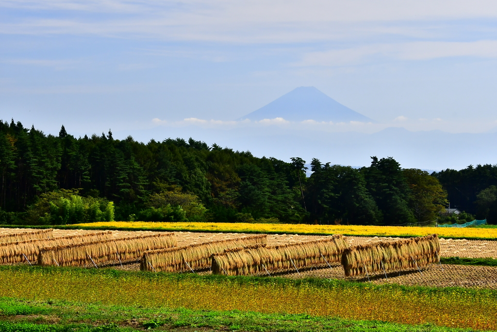 富士山遠景