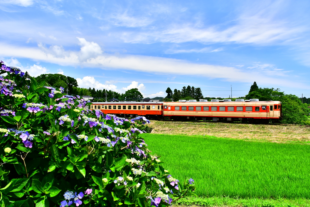 いすみ鉄道