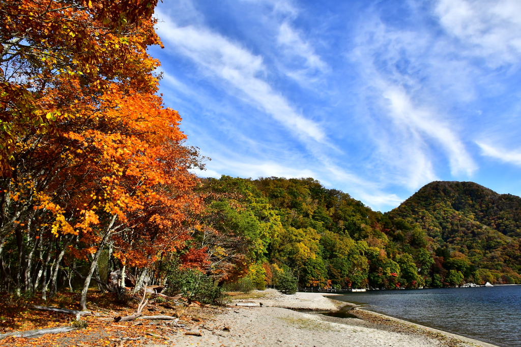 奥日光紅葉