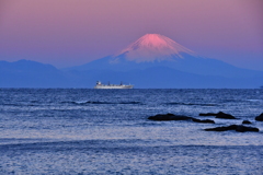 南房総からの富士朝景