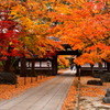 紅葉