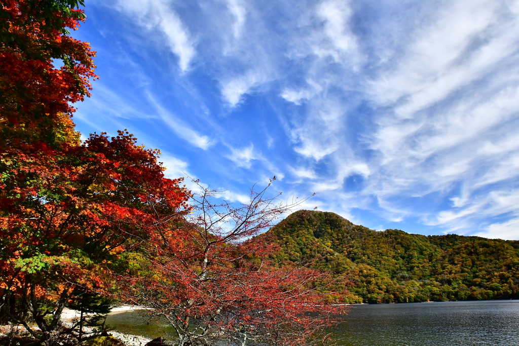 奥日光紅葉　2