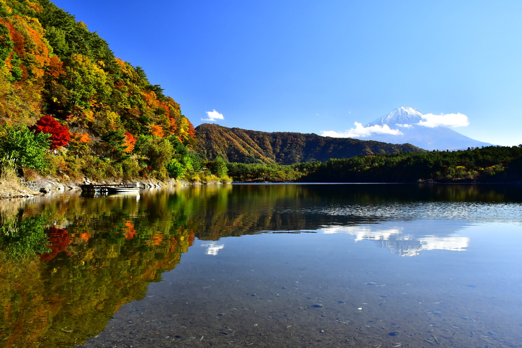 西湖紅葉