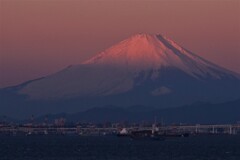 富士モルゲンロート