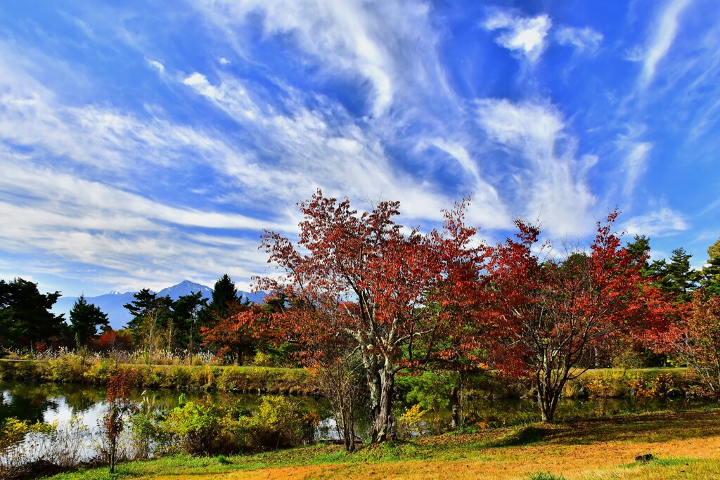紅葉風景