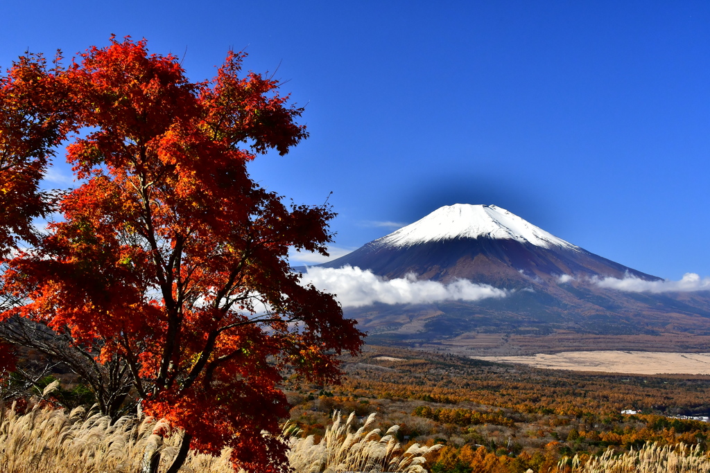 紅葉と富士　2