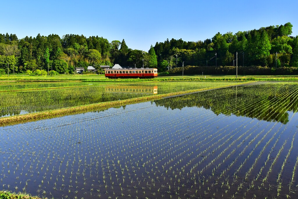 早苗とローカル線水鏡