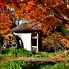 水車小屋の紅葉