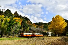 ローカル線秋景色