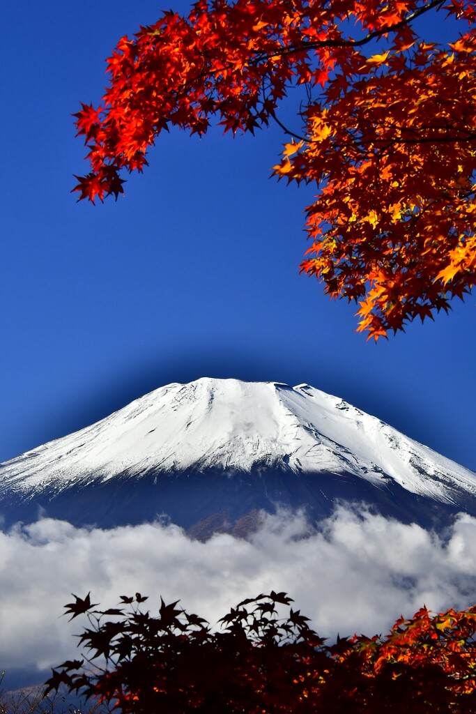 紅葉と富士