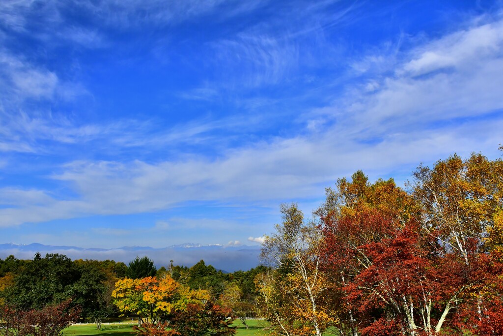 紅葉風景