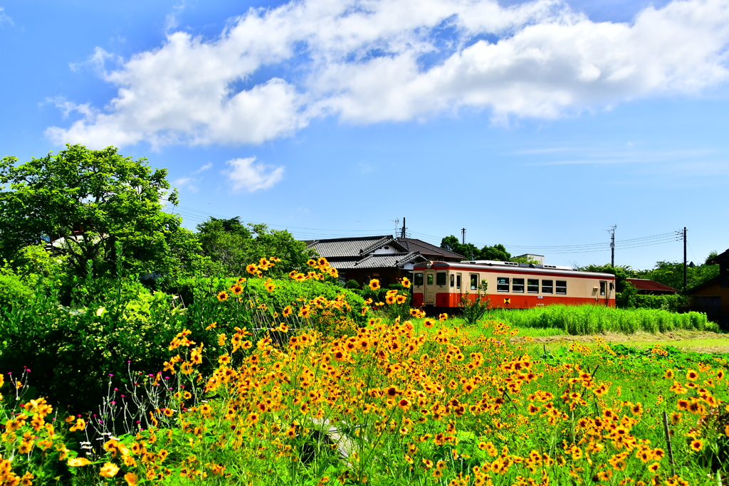 いすみ鉄道