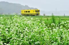 いすみ鉄道