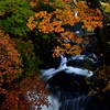 紅葉と水の流れ