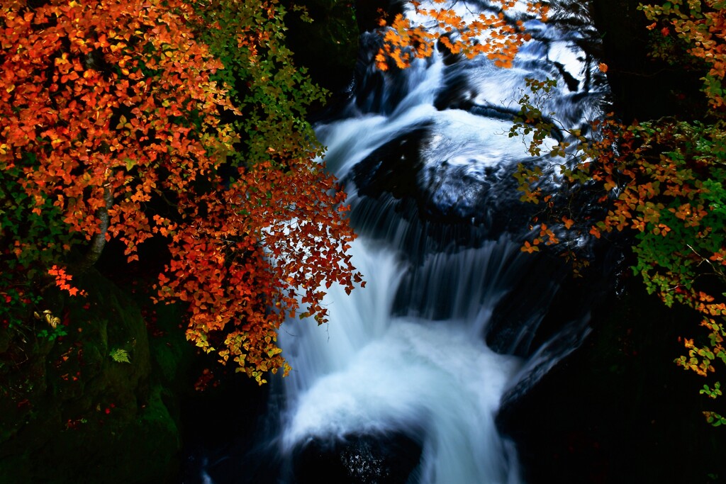 紅葉と水の流れ　2