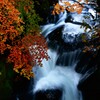紅葉と水の流れ　2