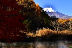 富士山と紅葉