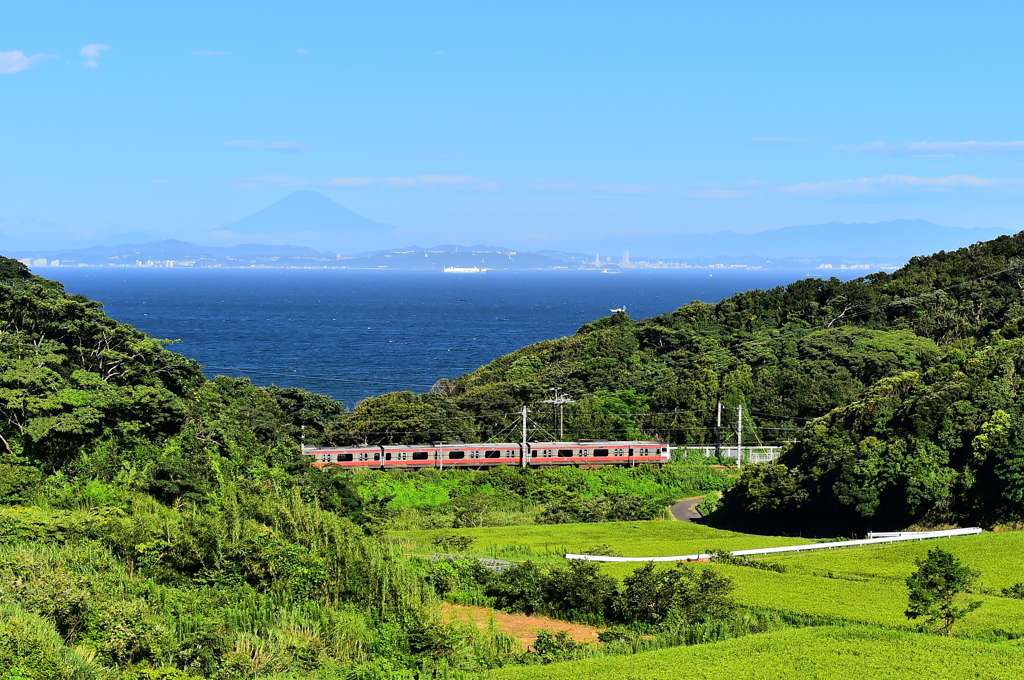 夏　富士山を遠望