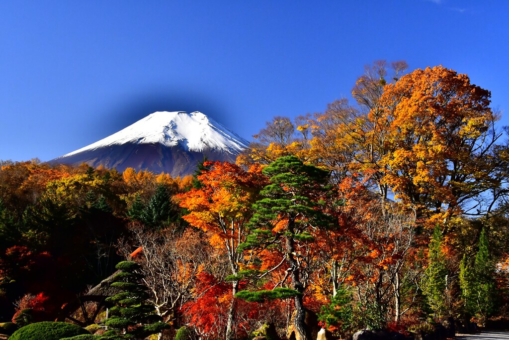 紅葉を纏って