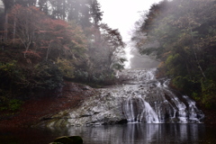 霧の養老渓谷