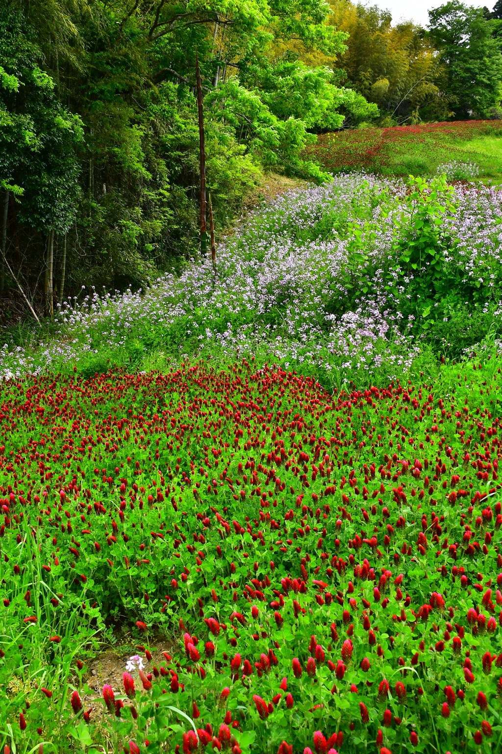 ストロベリーキャンドル