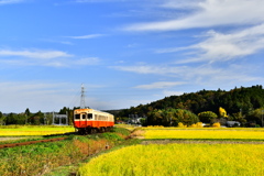 ローカル線の秋