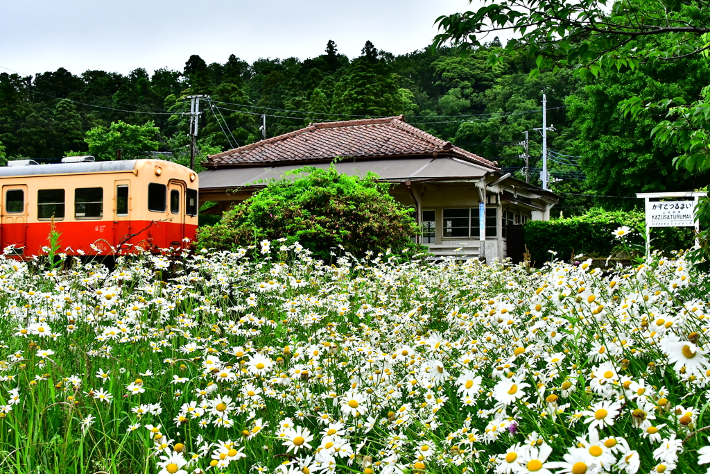 ローカル線（小湊鉄道）2