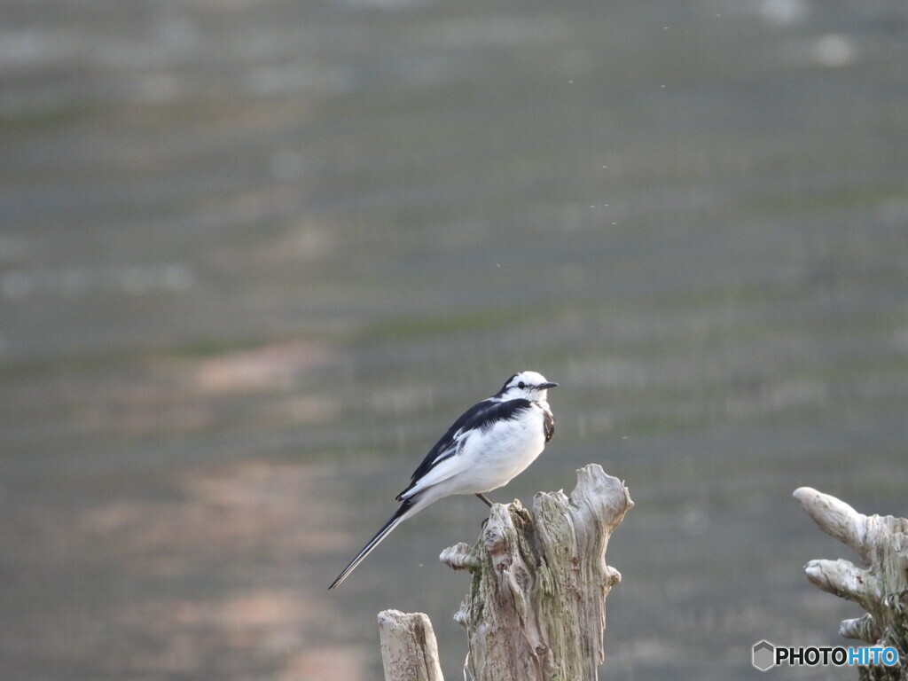 DSCN0326