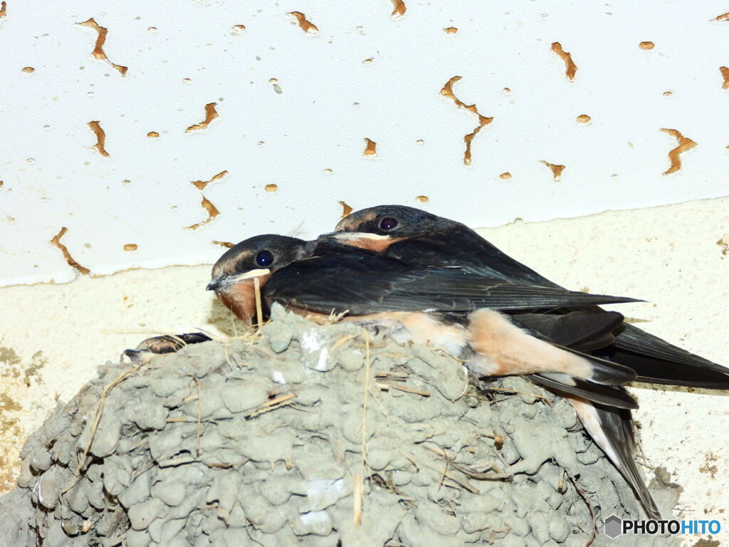 DSCN0497