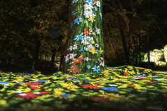 夜に咲く森の花