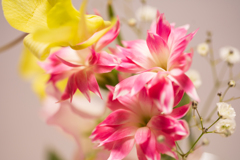 「FLOWER」の花々