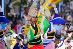 高円寺阿波踊り　もばら阿波おどり連友会