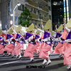 高円寺阿波踊り　ひょっとこ連