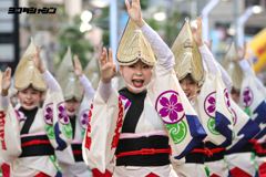 高円寺阿波踊り　江戸っ子連