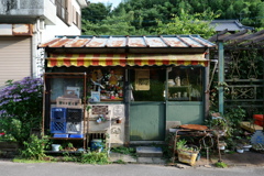 風情のある中で目に留まるもの