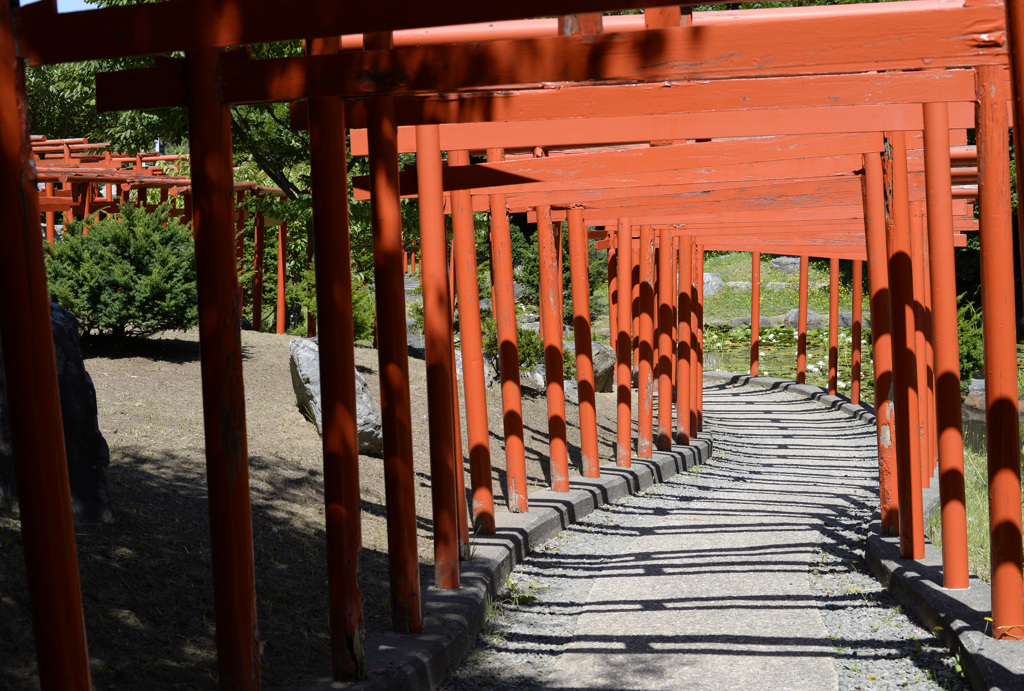 高山稲荷神社の鳥居