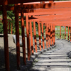 高山稲荷神社の鳥居