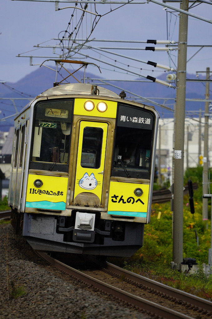 11匹のねこ　ラッピング列車