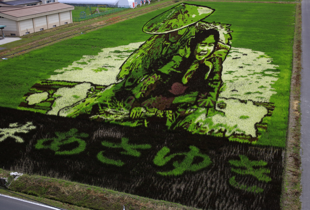 2019　田んぼアート