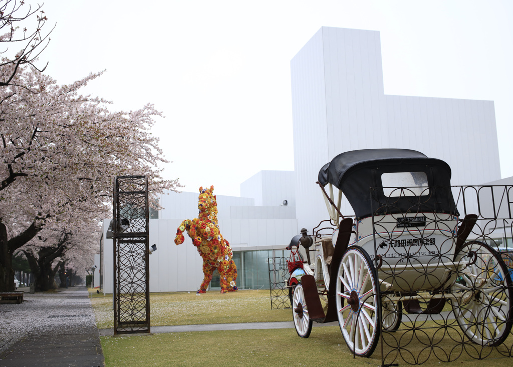 桜と十和田現代美術館