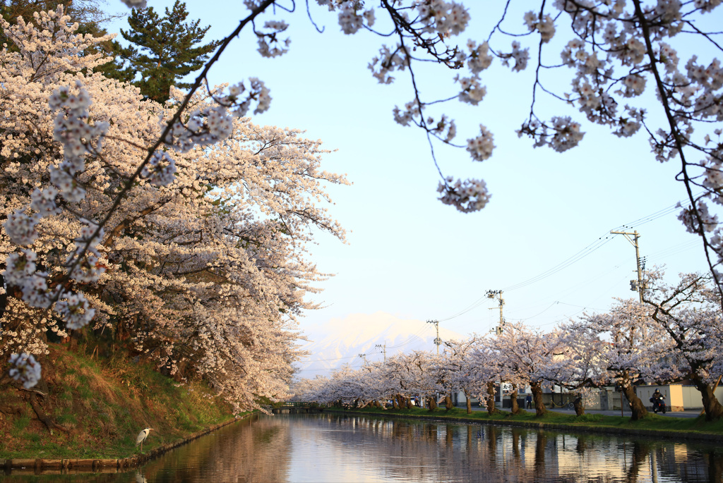 弘前公園　北側