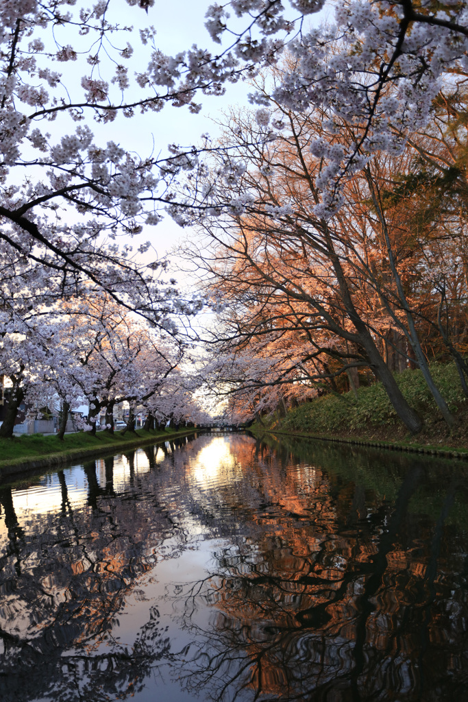 某公園の北側