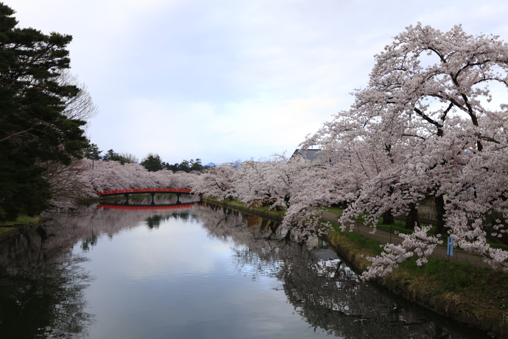 某公園の西側